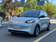 Wuling Binguo 333km Lingxi Connected Edition - ფოტო 1