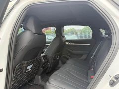 Geely Xingui Xingrui Oriental Radiance 1.5TD Kunlun Edition - ფოტო 10