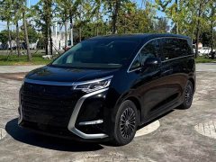 Denza BYD Denza D9 2022 DM-i 970 AWD Premium Edition - ფოტო 10