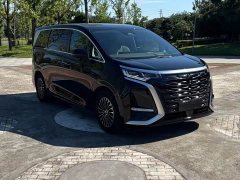 Denza BYD Denza D9 2022 DM-i 970 AWD Premium Edition - ფოტო 3