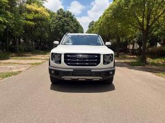 Great Wall Dachshund 2.0T DCT Four-Wheel Drive Howling Celestial Dog Edition - ფოტო 1
