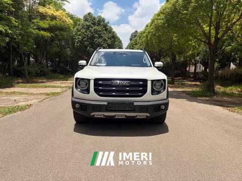 2022 Great Wall Dachshund 2.0T DCT Four-Wheel Drive Howling Celestial Dog Edition - ავტომობილი ჩინეთიდან