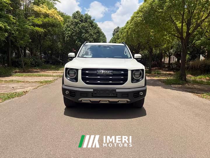 Great Wall Dachshund 2.0T DCT Four-Wheel Drive Howling Celestial Dog Edition
