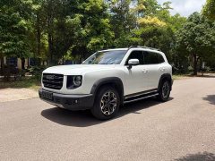 Great Wall Dachshund 2.0T DCT Four-Wheel Drive Howling Celestial Dog Edition - ფოტო 3