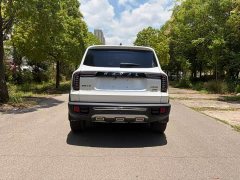 Great Wall Dachshund 2.0T DCT Four-Wheel Drive Howling Celestial Dog Edition - ფოტო 8