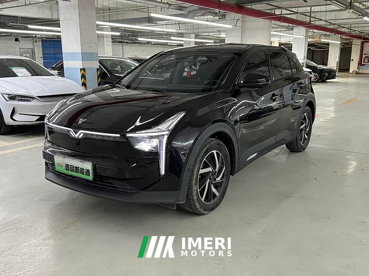 Neta U Pro 500 Global Edition - ავტომობილი ჩინეთიდან