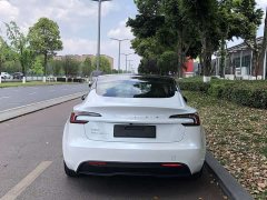 Tesla Model 3 Long Range All-Wheel Drive - ფოტო 13