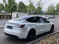Tesla Model 3 Long Range All-Wheel Drive - ფოტო 14