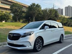 Buick GL8 ES Land Respect 653T Luxury - ფოტო 1