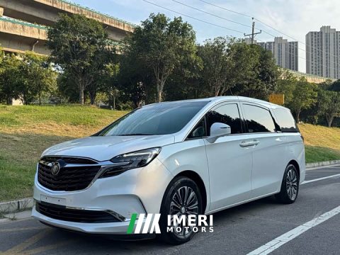 2022 Buick GL8 ES Land Respect 653T Luxury - ავტომობილი ჩინეთიდან