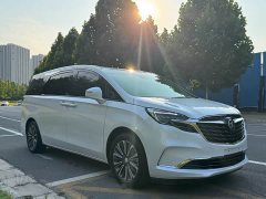 Buick GL8 ES Land Respect 653T Luxury - ფოტო 3