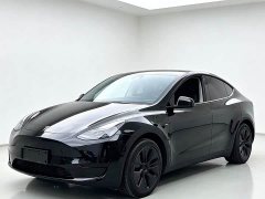 Tesla Model Y Rear-Wheel Drive - ფოტო 1