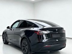 Tesla Model Y Rear-Wheel Drive - ფოტო 7