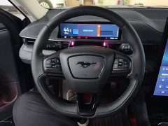 Ford Mustang Mach-E 2021 Boundless RWD Luxury Long Range - ფოტო 15