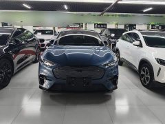 Ford Mustang Mach-E 2021 Boundless RWD Luxury Long Range - ფოტო 2