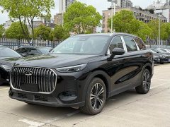 Chery Tiggo 9 9X 2.0T Automatic Two-Wheel Drive Luxury - ფოტო 1