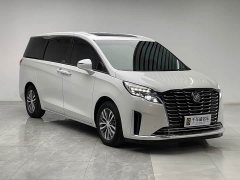 Buick GL8 ES Luxe Enjoyment Edition - ფოტო 3