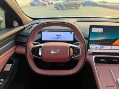 Geely Galaxy L6 EM-i 140km Starship Edition - ფოტო 10