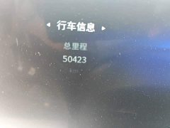 FAW Red Flag H9 2020 2.0T Smart Connected Flagship Comfort Edition - ფოტო 13
