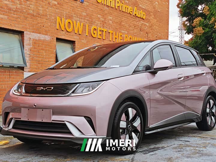 BYD Dolphin 2023 401km Knight Edition - ავტომობილი ჩინეთიდან