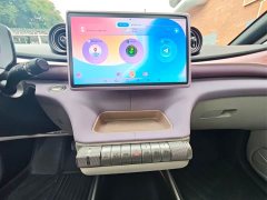 BYD Dolphin 2023 401km Knight Edition - ფოტო 10