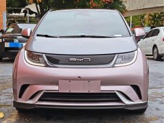 BYD Dolphin 2023 401km Knight Edition - ფოტო 3