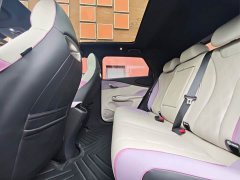 BYD Dolphin 2023 401km Knight Edition - ფოტო 8