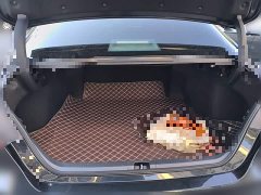 Toyota Camry 2021 2.5G Luxury - ფოტო 15