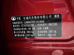 Xpeng Cannon 2.0T Off-Road Auto Gasoline 4WD Advanced Edition - ფოტო 17
