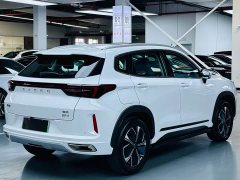 Chery Chitu Zhuifeng C-DM 2023 1.5T CI-DHT 80KM Riding Wind Edition - ფოტო 15