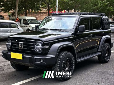 2023 Tank 300 Off-Road Edition 2.0T Conqueror - ავტომობილი ჩინეთიდან