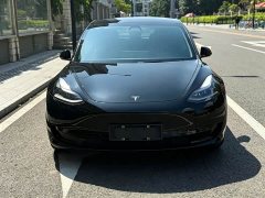 Tesla Model 3 Standard Range RWD Upgrade 3D6 - ფოტო 2