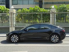 Tesla Model 3 Standard Range RWD Upgrade 3D6 - ფოტო 3