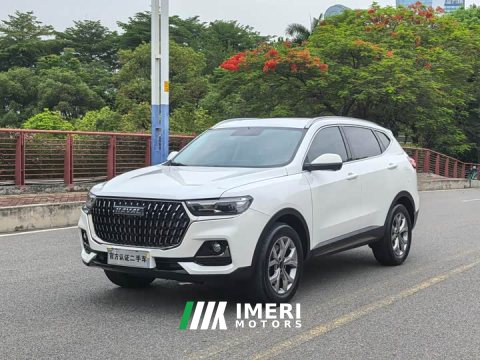 2022 Haval H6 2021 1.5L Turbocharged Automatic Champion Edition - ავტომობილი ჩინეთიდან