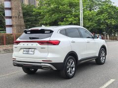Haval H6 2021 1.5L Turbocharged Automatic Champion Edition - ფოტო 18