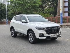 Haval H6 2021 1.5L Turbocharged Automatic Champion Edition - ფოტო 3