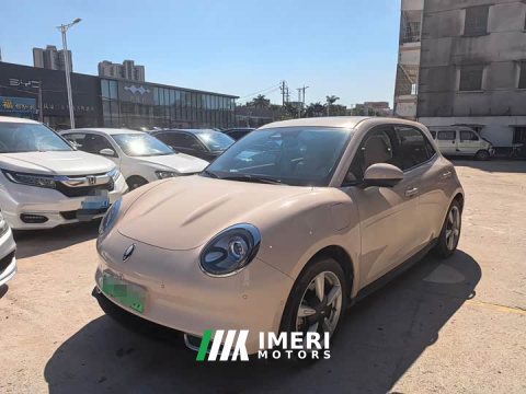 2023 ORA Good Cat 401km Standard Range Deluxe LFP - ავტომობილი ჩინეთიდან