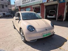 ORA Good Cat 401km Standard Range Deluxe LFP - ფოტო 2
