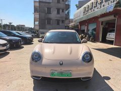 ORA Good Cat 401km Standard Range Deluxe LFP - ფოტო 3