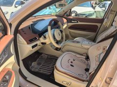 ORA Good Cat 401km Standard Range Deluxe LFP - ფოტო 6
