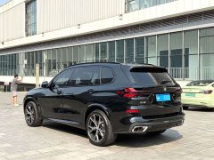 BMW X5 xDrive 30Li M Sport Luxury Night Edition Package - ფოტო 4