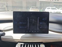 BYD Yuan Plus Glory Edition 430KM Leading - ფოტო 11