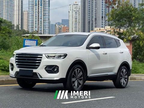 2021 Haval H6 1.5L GDIT Automatic Platinum Champion Edition - ავტომობილი ჩინეთიდან