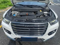 Haval H6 2020 1.5L GDIT Automatic Platinum Champion Edition - ფოტო 18