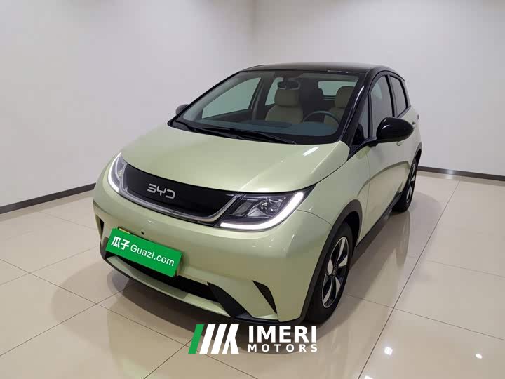 BYD Dolphin 2025 420km Freedom Edition - ავტომობილი ჩინეთიდან