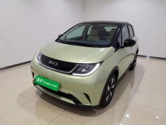 BYD Dolphin 2025 420km Freedom Edition - ფოტო 1