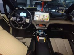 BYD Dolphin 2025 420km Freedom Edition - ფოტო 10