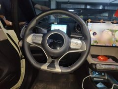 BYD Dolphin 2025 420km Freedom Edition - ფოტო 11
