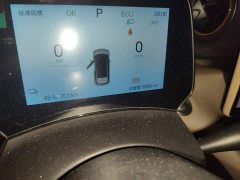 BYD Dolphin 2025 420km Freedom Edition - ფოტო 13