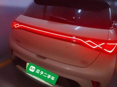 BYD Dolphin 2025 420km Freedom Edition - ფოტო 5